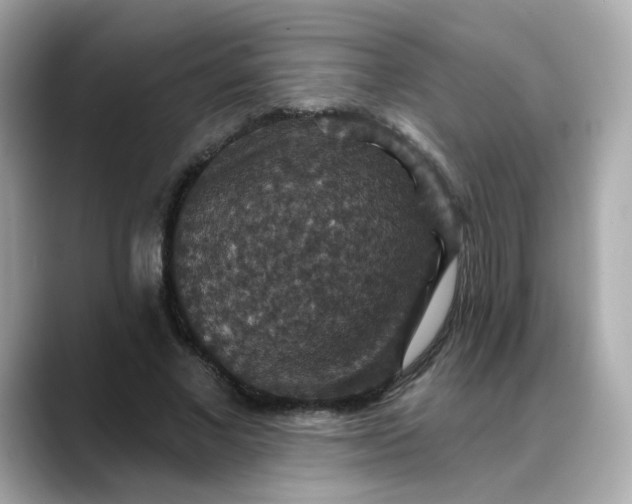 X0000088430685200706051230