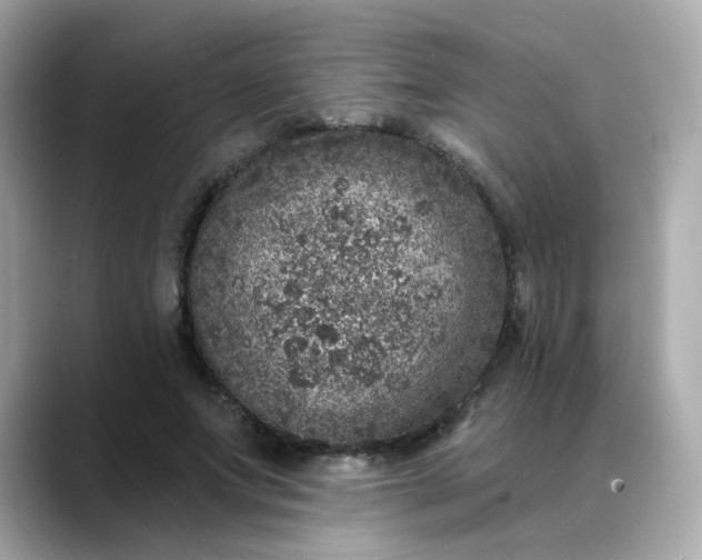 X0000088430687200706051230