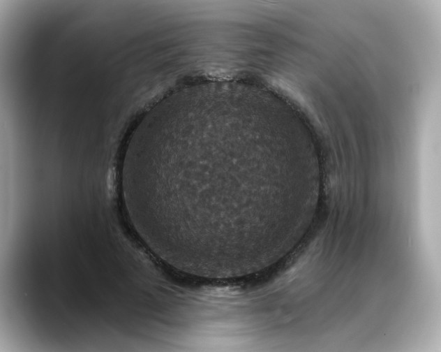 X0000088430689200706051230