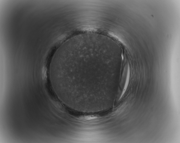 X0000088430692200706051230