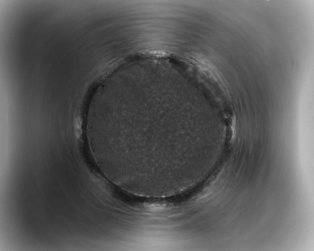 X0000088430693200706051230