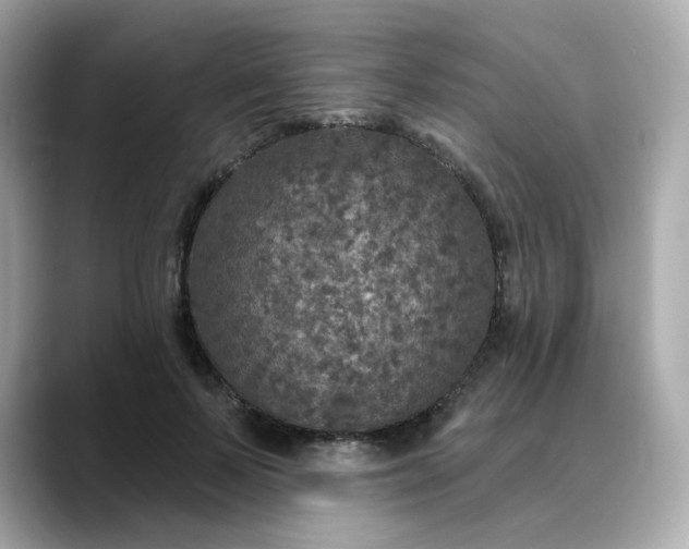 X0000088430695200706051230