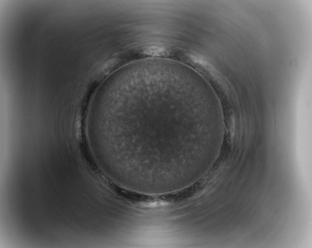 X0000088430696200706051230