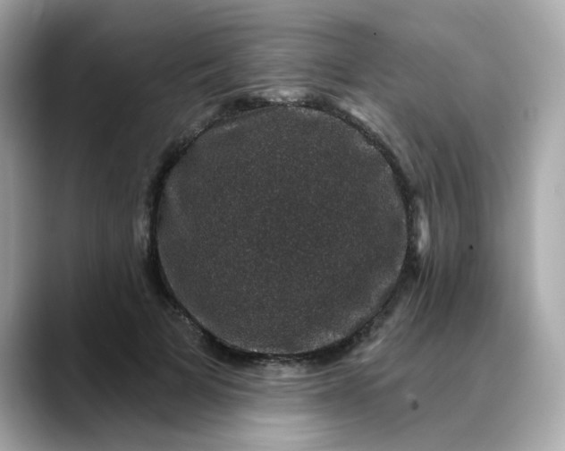 X0000088430697200706051230