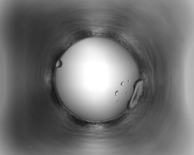 X0000088430698200706051230