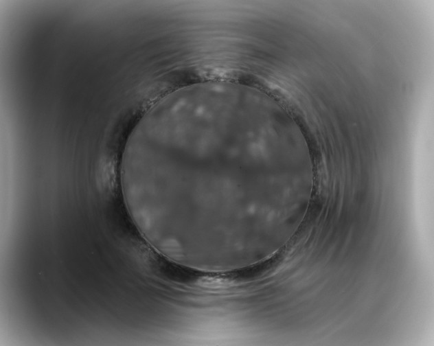 X0000088430699200706051230