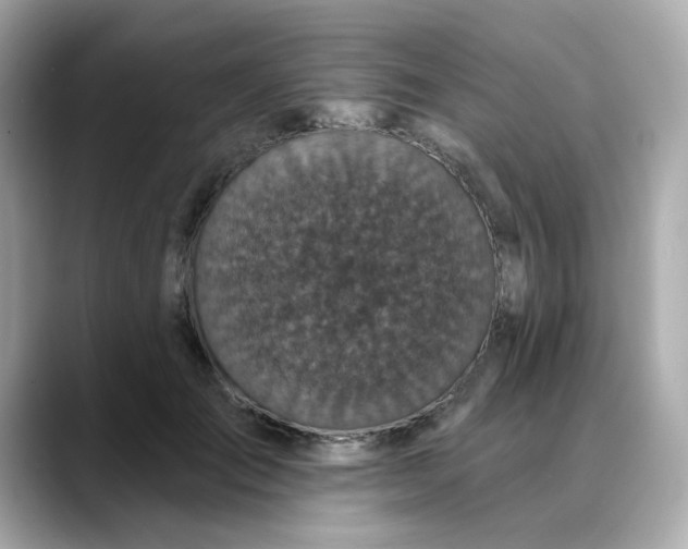 X0000088430701200706051230