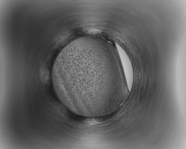 X0000088430704200706051230