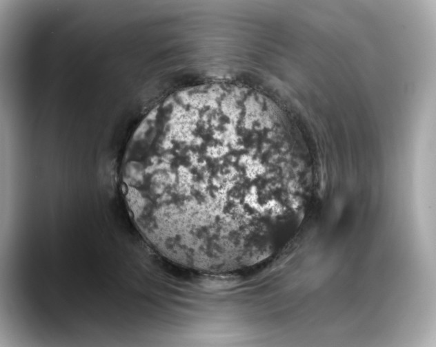 X0000088430707200706051230