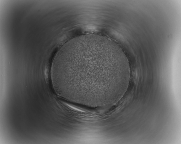 X0000088430708200706051230