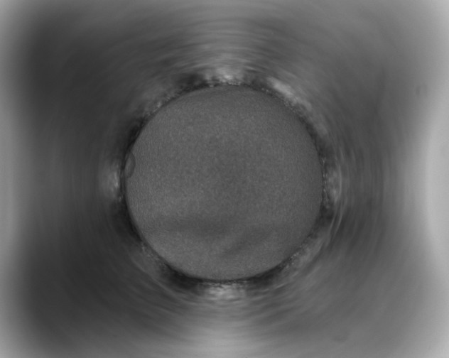 X0000088430709200706051230