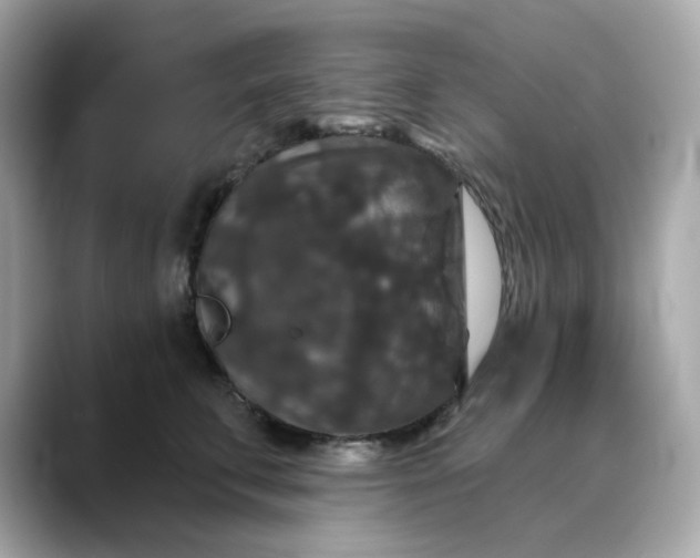 X0000088430711200706051230