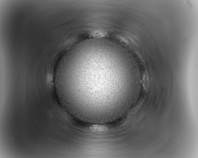 X0000088430714200706051230