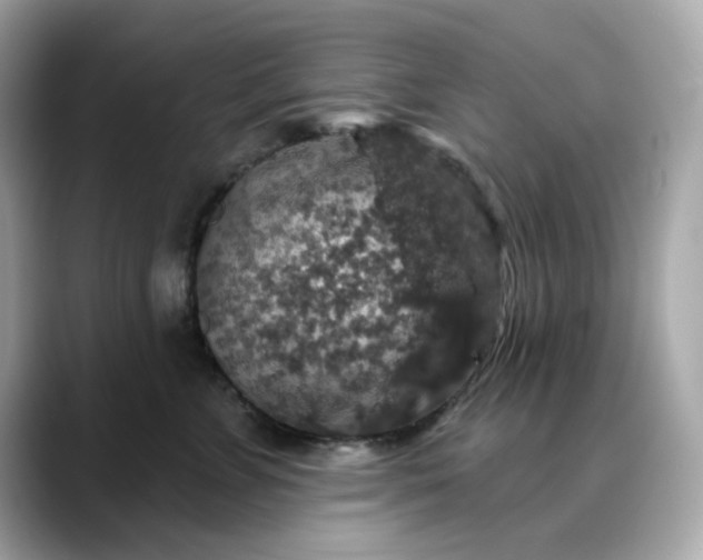 X0000088430715200706051230