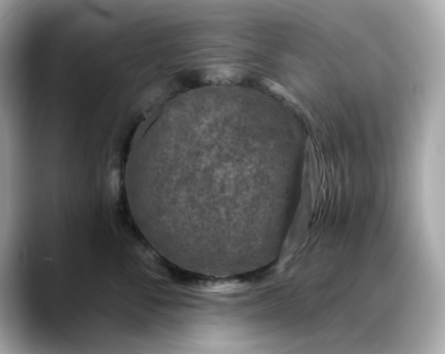 X0000088430716200706051230