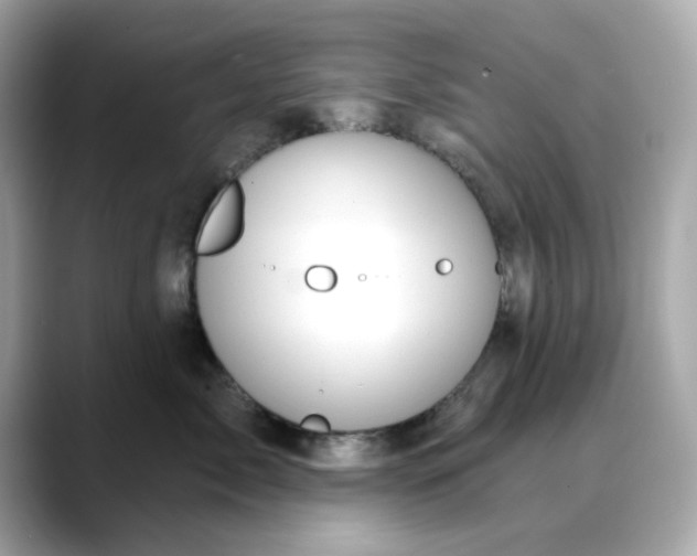 X0000088430717200706051230