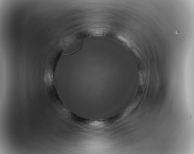 X0000088430718200706051230