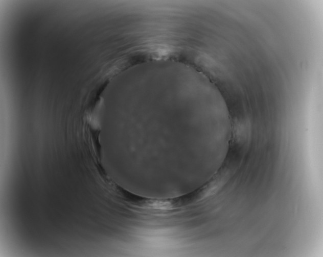 X0000088430719200706051230