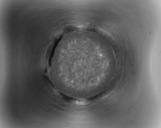 X0000088430720200706051230