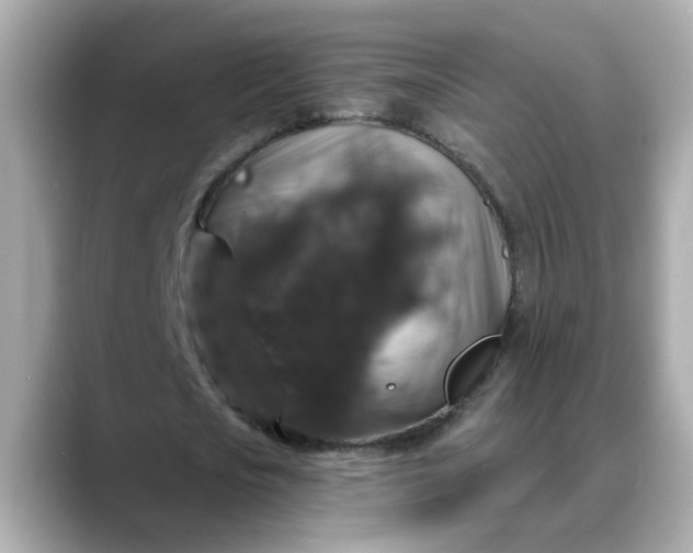 X0000088430721200706051229