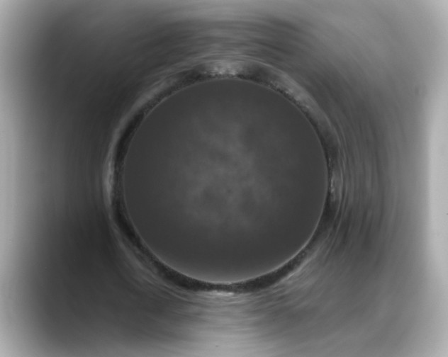 X0000088430722200706051229