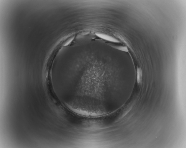 X0000088430723200706051229