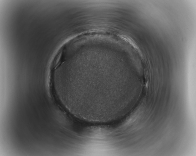 X0000088430724200706051229