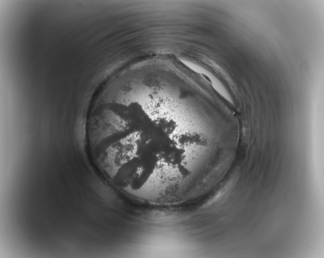 X0000088430725200706051229