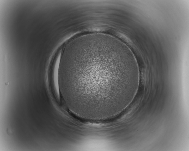 X0000088430726200706051229