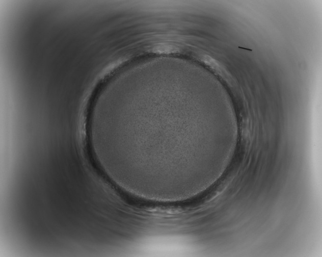 X0000088430727200706051229