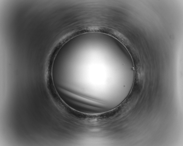 X0000088430728200706051229