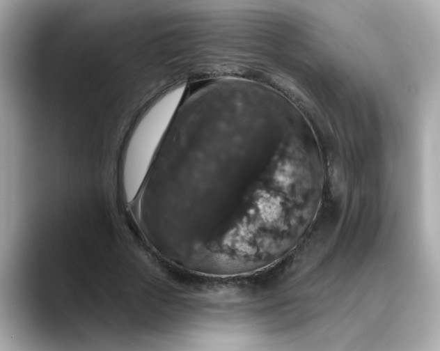 X0000088430729200706051229