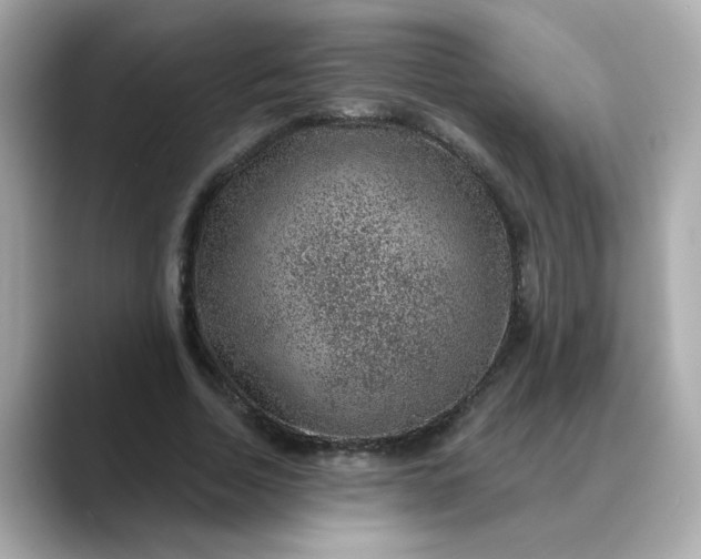 X0000088430730200706051229