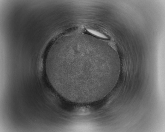 X0000088430731200706051229