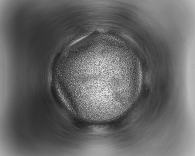 X0000088430733200706051229