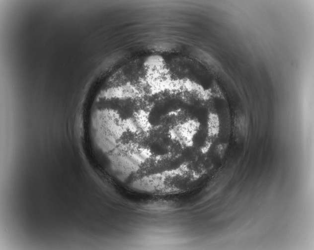 X0000088430734200706051229