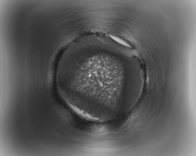 X0000088430735200706051229