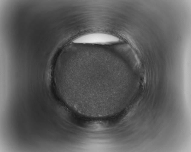 X0000088430736200706051229