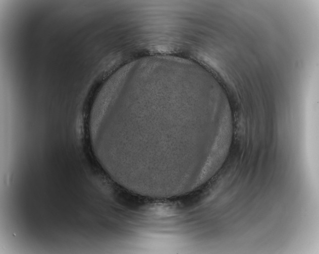 X0000088430738200706051229