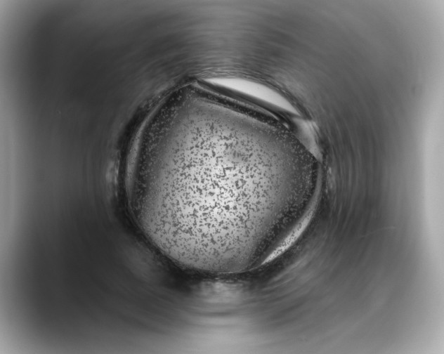 X0000088430739200706051229