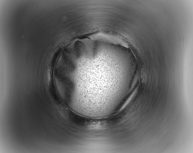 X0000088430740200706051229