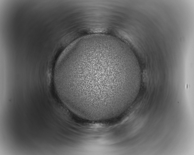 X0000088430741200706051230