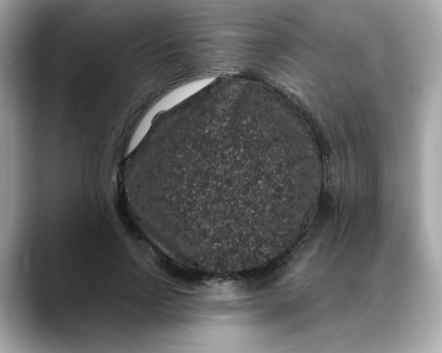 X0000088430742200706051230