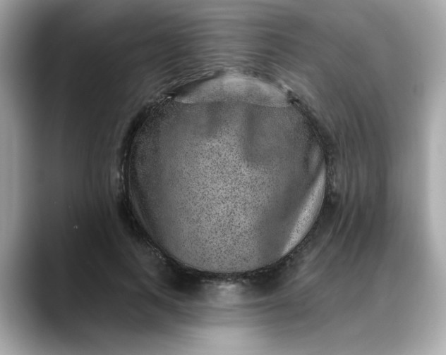 X0000088430743200706051230