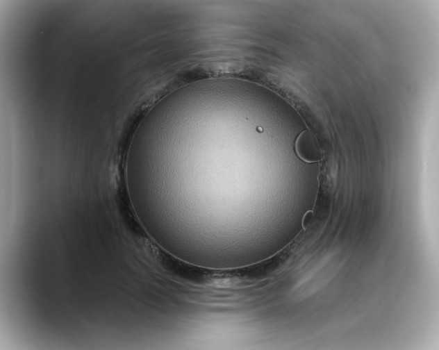 X0000088430746200706051230