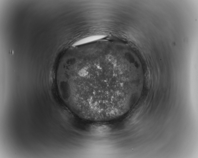 X0000088430747200706051230