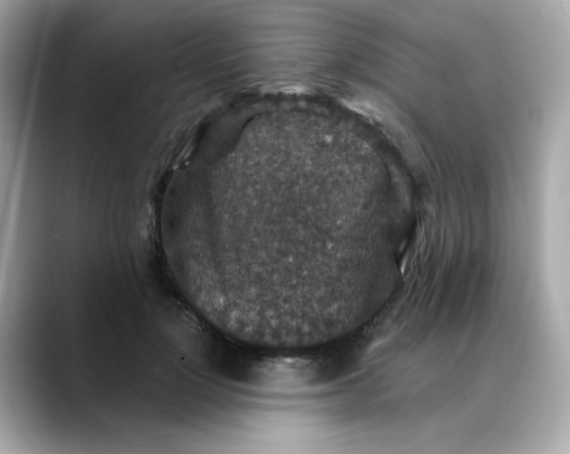 X0000088430748200706051230