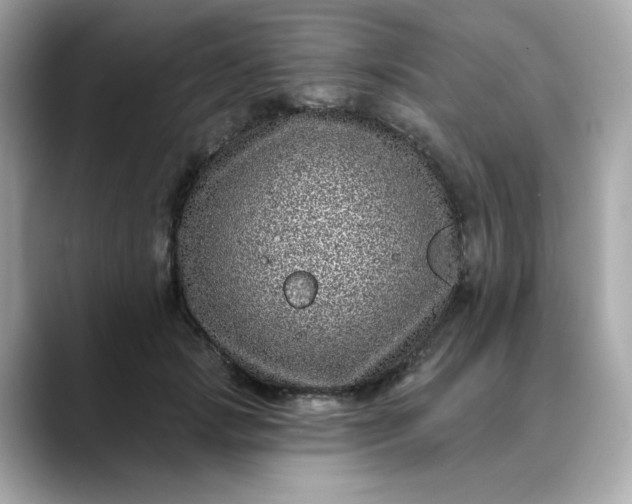 X0000088430749200706051230