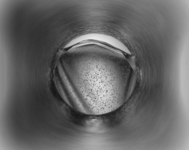 X0000088430750200706051230