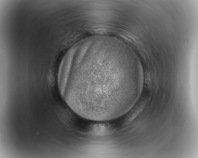 X0000088430751200706051230